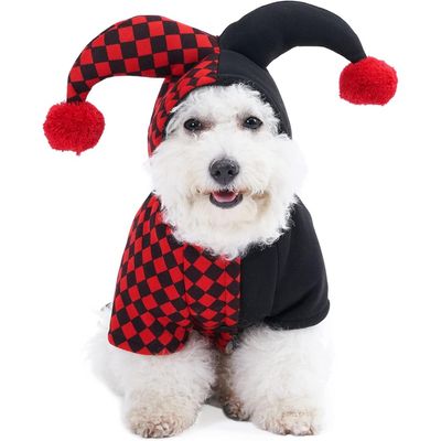 ZooVenture Sweat à Capuche Clown pour Chien et Chat - Design Halloween