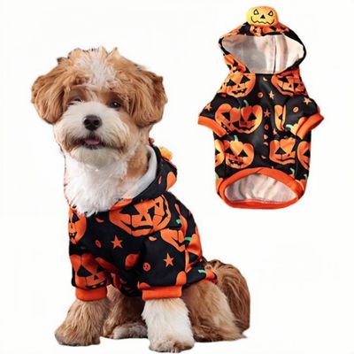 ZooVenture Sweat à Capuche Citrouille pour Chien - Déguisement Halloween