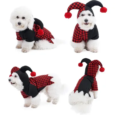 ZooVenture Clown-Hoodie für Hunde und Katzen – Halloween-Design