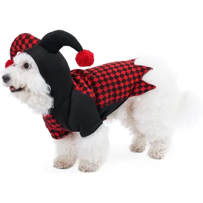 ZooVenture Clown-Hoodie für Hunde und Katzen – Halloween-Design