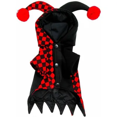 ZooVenture Clown-Hoodie für Hunde und Katzen – Halloween-Design