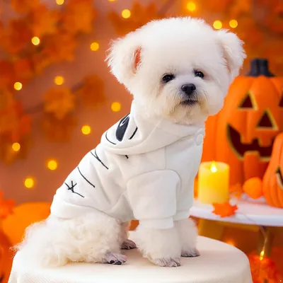 ZooVenture Leichter Halloween-Hoodie für Hunde und Katzen – Mumien-Stil ZooVenture Leichter Halloween-Hoodie für Hunde und Katzen – Mumien-Stil
