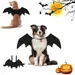 ZooVenture Fledermauskostüm für Hunde und Katzen – Halloween
