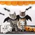 ZooVenture Costume Chauve-Souris Halloween pour Chien et Chat