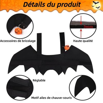 ZooVenture Costume Chauve-Souris Halloween pour Chien et Chat