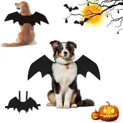 ZooVenture Disfraz de murciélago de Halloween para perros y gatos