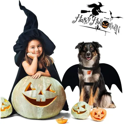 ZooVenture Fledermauskostüm für Hunde und Katzen – Halloween ZooVenture Fledermauskostüm für Hunde und Katzen – Halloween