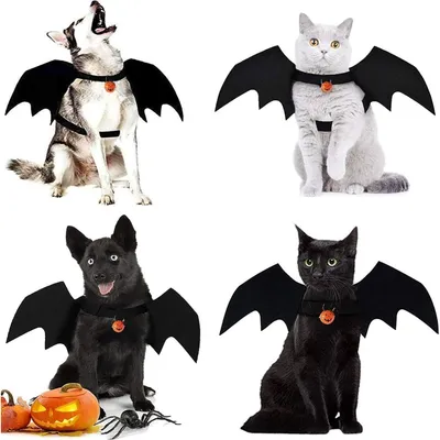 ZooVenture Fledermauskostüm für Hunde und Katzen – Halloween ZooVenture Fledermauskostüm für Hunde und Katzen – Halloween