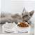 Gamelle double en céramique pour chat