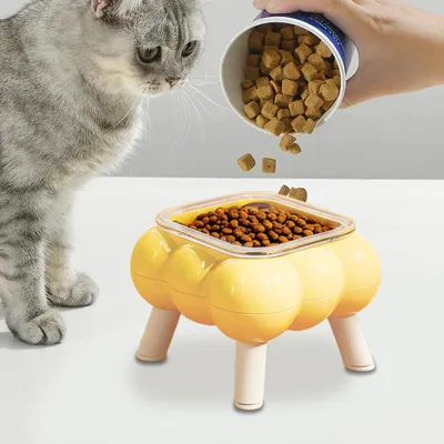 KPYTE Gamelle haute en verre à quatre pieds pour chat