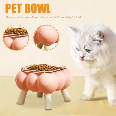 KPYTE Gamelle haute en verre à quatre pieds pour chat