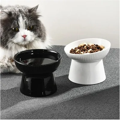 KPYTE Gamelle inclinée pour chat et chien