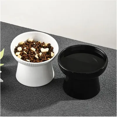 KPYTE Gamelle inclinée pour chat et chien