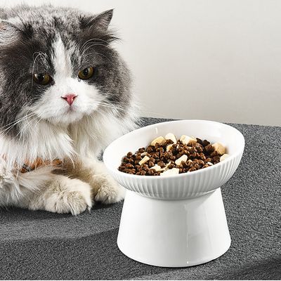 KPYTE Gamelle inclinée pour chat et chien