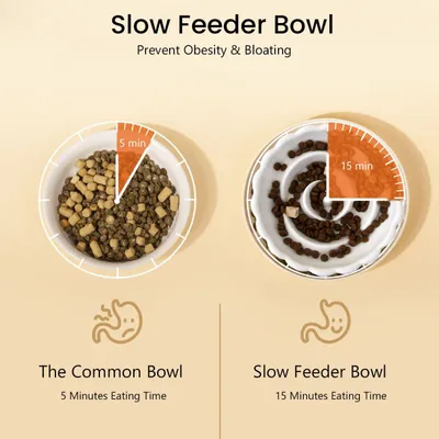 KPYTE Gamelle surélevée en céramique pour chat à alimentation lente