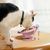 KPYTE Gamelle pliable pour chat et chien