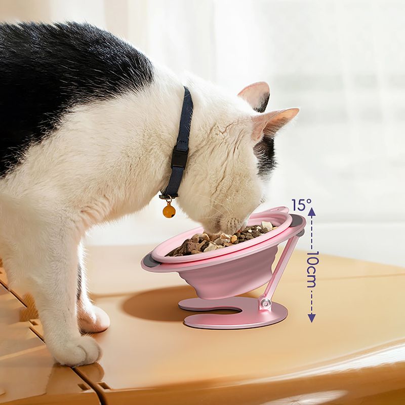 KPYTE Gamelle pliable pour chat et chien