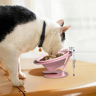 KPYTE Gamelle pliable pour chat et chien