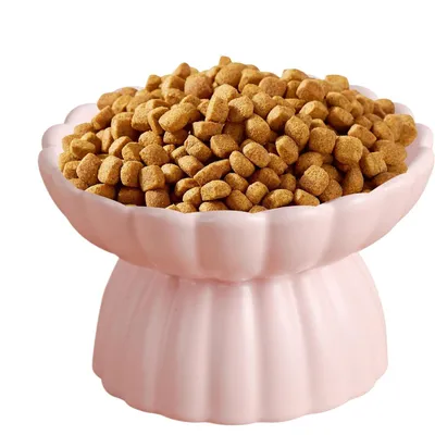 KPYTE Gamelle surélevée en céramique pour chat à alimentation lente