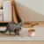 KPYTE Gamelle surélevée en céramique pour chat à alimentation lente