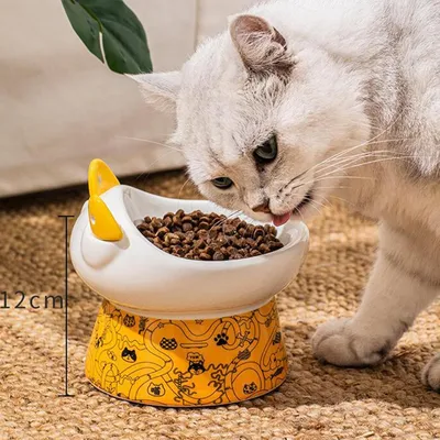 KPYTE Gamelle pour chat en céramique avec cuillère