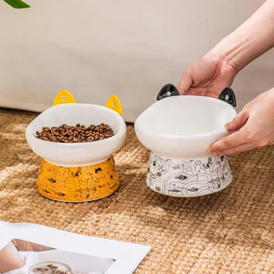 KPYTE Gamelle pour chat en céramique avec cuillère