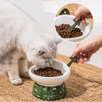 KPYTE Gamelle pour chat en céramique avec cuillère