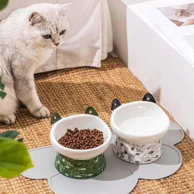 KPYTE Gamelle pour chat en céramique avec cuillère
