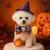 IntiMeg Katzenhalsband mit Totenkopf-Schleife für Halloween IntiMeg Katzenhalsband mit Totenkopf-Schleife für Halloween