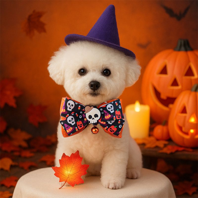 IntiMeg Collier pour chat avec nœud en forme de tête de mort pour Halloween