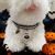 IntiMeg Fantôme de citrouille colliers d'Halloween réglables pour chat