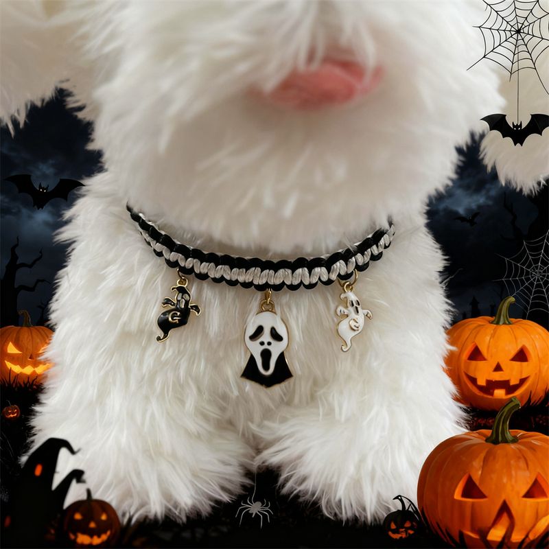 IntiMeg Fantôme de citrouille colliers d'Halloween réglables pour chat