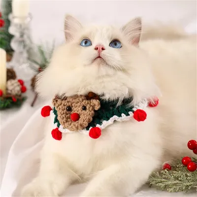 IntiMeg Collier et bavette de Noël pour chat
