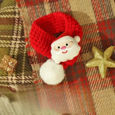 IntiMeg Collier et bavette de Noël pour chat