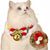 IntiMeg Collier et bavette de Noël pour chat