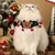 IntiMeg Collier et bavette de Noël pour chat
