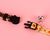 ZooVenture 2 x Colliers pour Chat Halloween - Amovibles avec Clochettes