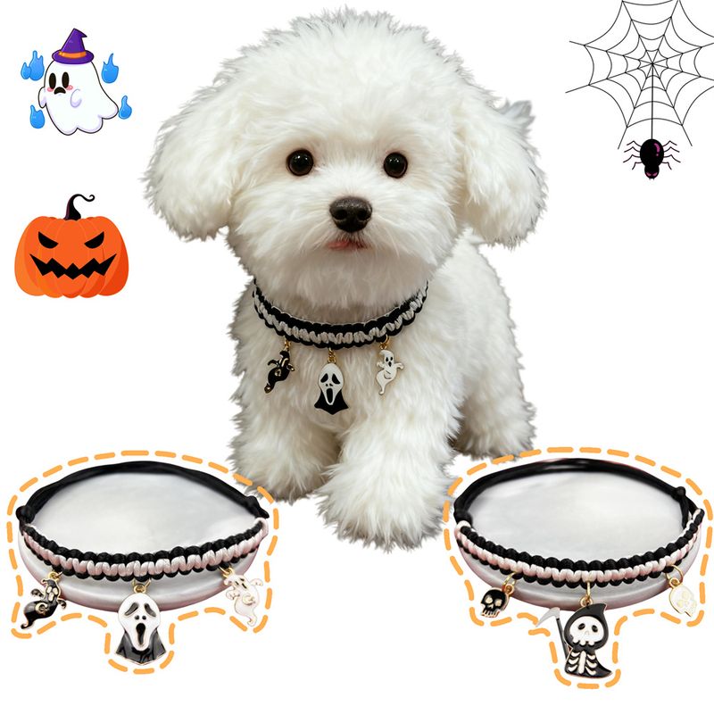 IntiMeg Fantôme de citrouille colliers d'Halloween réglables pour chat