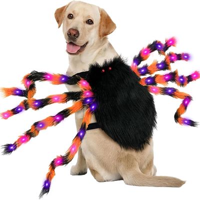 IntiMeg Costume chien Halloween - Araignée lumineuse avec 64 LEDs