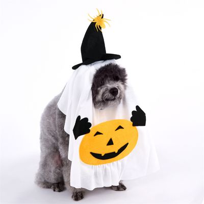 Zunea Robe D'Halloween Pour Petit Chien, Chat, Costume D'Halloween Imprimé Citrouille, Chiot Fille, Jupe Douce Pour Animal Domestique Avec Nœud Papillon, Vêtements Pour Chihuahua, Yorkshire, Orange