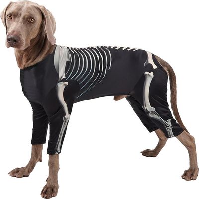 IntiMeg Costume de squelette pour Chiens de Taille Moyenne