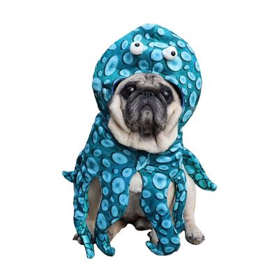 IntiMeg Chapeau de pieuvre d'Halloween pour chien et chat