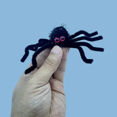 IntiMeg 3 Haarspangen – Halloween-Spinne – Für Hunde und Katzen