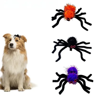 IntiMeg 3 pinzas para el pelo - Araña de Halloween - Para perros y gatos
