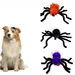 IntiMeg 3 Haarspangen – Halloween-Spinne – Für Hunde und Katzen