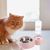 KPYTE Bol d'eau automatique pour chat