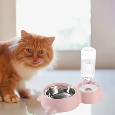 KPYTE Bol d'eau automatique pour chat