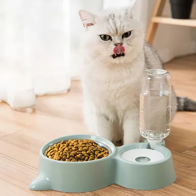 KPYTE Bol d'eau automatique pour chat