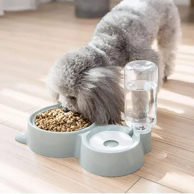 KPYTE Bol d'eau automatique pour chat