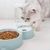 KPYTE Bol d'eau automatique pour chat